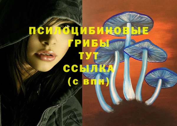 jwh Абинск